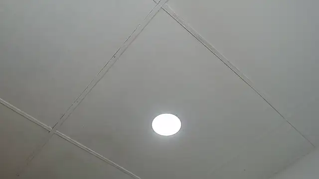 Snapshot of dannaberlin_0 chatting on 03-13-25, 12:46 dannaberlin 0 online show from 03-13-25, 12:46