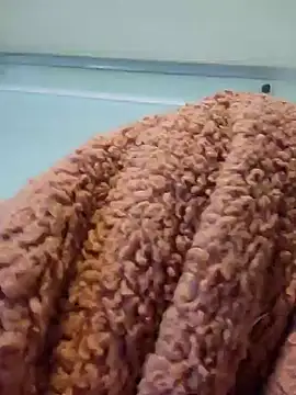 911Calling online show from 12-14-24, 04:01