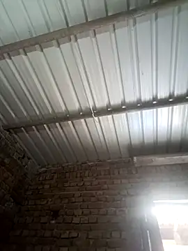 Shubu 76 online show from 09-15-25, 06:02