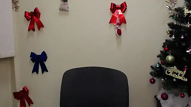 Snapshot of StellaCRL chatting on 12-26-24, 04:14 StellaCRL online show from 12-26-24, 04:14