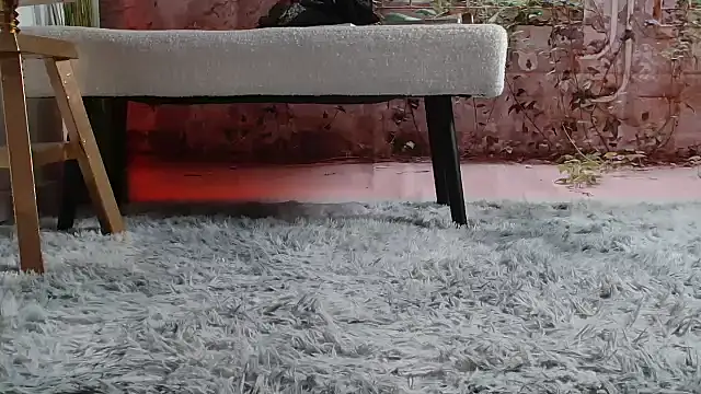 Snapshot of priselvis23 chatting on 03-12-25, 06:22 priselvis23 online show from 03-12-25, 06:22