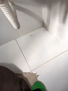 lobomisterioso13 online show from 03-14-25, 12:07