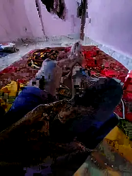 Snapshot of Ssdhaka11 chatting on 11-06-25, 02:51 Ssdhaka11 online show from 11-06-25, 02:51