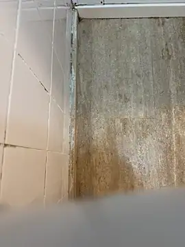 Snapshot of reelciii21 chatting on 03-23-25, 12:58 reelciii21 online show from 03-23-25, 12:58