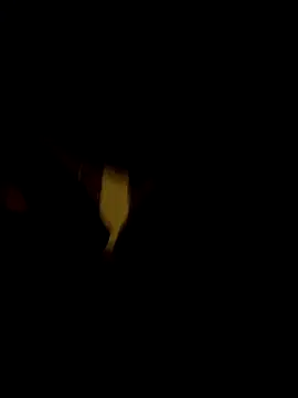 johnnyyyahh online show from 10-10-25, 11:20