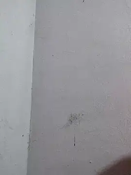 Snapshot of Negrocomedo chatting on 03-06-26, 01:51 Negrocomedo online show from 03-06-26, 01:51