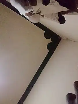 Snapshot of Danny_lady chatting on 12-16-25, 11:21 Danny lady online show from 12-16-25, 11:21