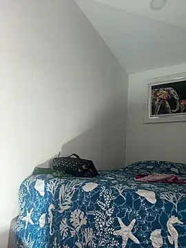 Snapshot of linatarens chatting on 02-11-25, 11:33 linatarens online show from 02-11-25, 11:33