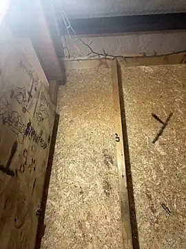 yomanfriend online show from 12-21-24, 09:01