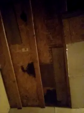 Snapshot of beliqi chatting on 12-15-24, 01:24 beliqi online show from 12-15-24, 01:24