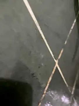 Snapshot of gzn01 chatting on 10-30-25, 07:03 gzn01 online show from 10-30-25, 07:03