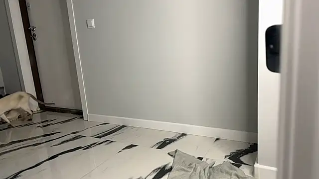 elisa moon online show from 12-23-24, 05:06