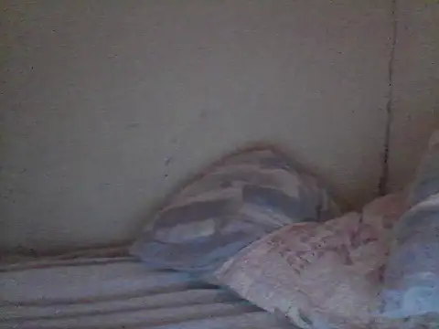 Snapshot of pornstarbrezillian chatting on 11-13-25, 12:48 pornstarbrezillian online show from 11-13-25, 12:48