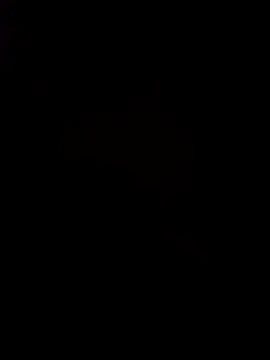 Snapshot of pornstarbrezillian chatting on 11-24-25, 08:25 pornstarbrezillian online show from 11-24-25, 08:25