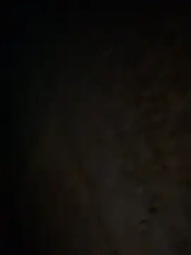 tripexnte online show from 02-20-25, 06:39