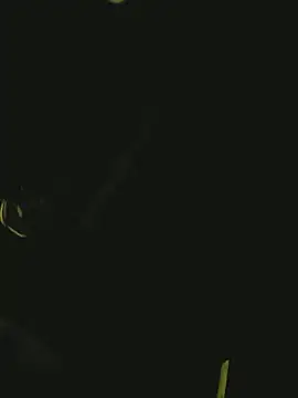 Snapshot of Pressure69mee chatting on 03-02-25, 10:59 Pressure69mee online show from 03-02-25, 10:59