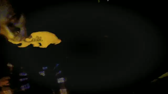 Snapshot of Pressure69mee chatting on 03-12-25, 09:24 Pressure69mee online show from 03-12-25, 09:24