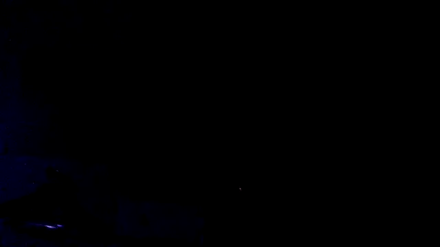 Youcunn online show from 04-15-26, 09:16