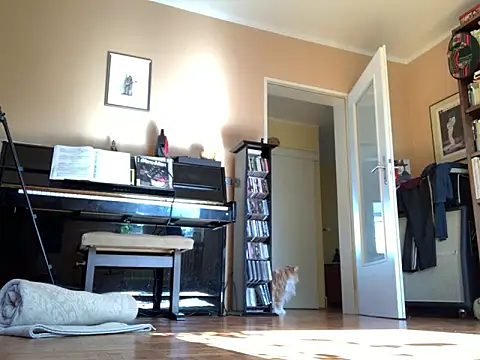 Bula94193 online show from 09-24-25, 09:45