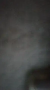 axelongshaft69 online show from 02-25-25, 03:49