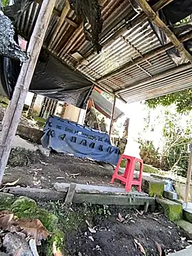 Jestebanano online show from 05-26-26, 03:41