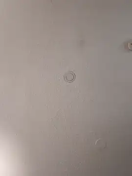 geilerschwanz64 online show from 02-02-25, 04:00