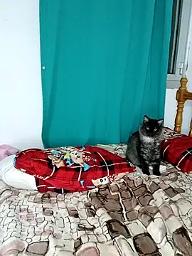 Snapshot of sama0012 chatting on 02-19-25, 11:14 sama0012 online show from 02-19-25, 11:14