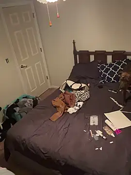 torilux online show from 02-08-25, 11:34