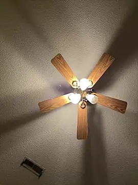 torilux online show from 02-28-25, 11:34