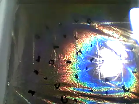 camiliaskye online show from 12-13-24, 04:22