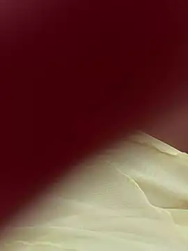 lariic online show from 03-31-26, 06:41