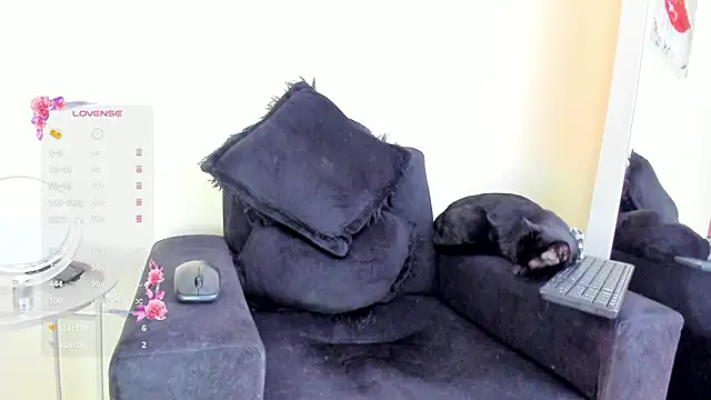 its  angelica  online show from 11-19-25, 07:47