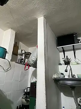 siri duque online show from 04-11-26, 11:25