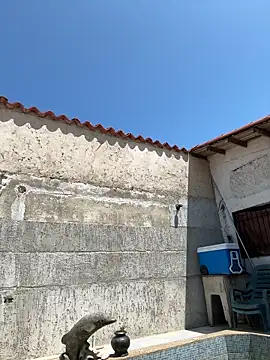 Leo bunny hot online show from 09-27-25, 05:29