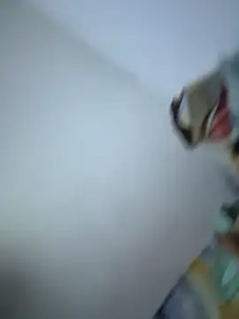 Snapshot of SweetBonniie chatting on 11-03-25, 12:02 SweetBonniie online show from 11-03-25, 12:02