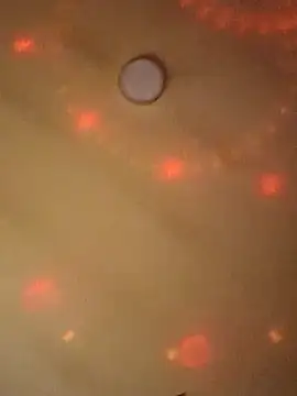 Ely Elenita online show from 03-07-25, 09:27