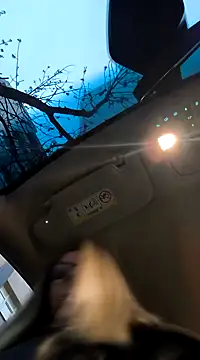 SukyGirl online show from 02-03-25, 05:40