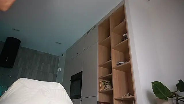 DreamSofia online show from 10-11-25, 09:19