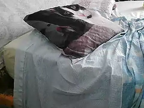 Snapshot of VeneRed chatting on 06-26-26, 02:21 VeneRed online show from 06-26-26, 02:21