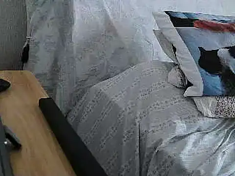Snapshot of VeneRed chatting on 07-01-26, 01:24 VeneRed online show from 07-01-26, 01:24