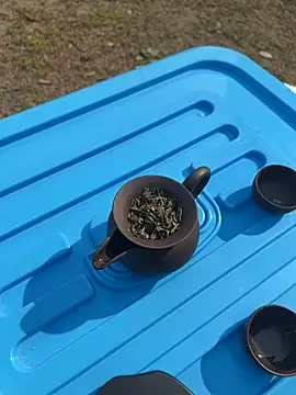 CN-Shanshan online show from 02-01-26, 04:00