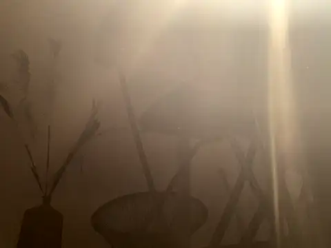 mesetti online show from 12-08-24, 03:13