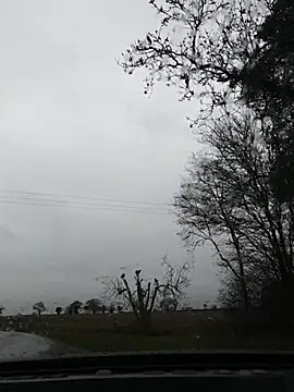 Snapshot of nataliecdlive chatting on 11-22-25, 11:09 nataliecdlive online show from 11-22-25, 11:09