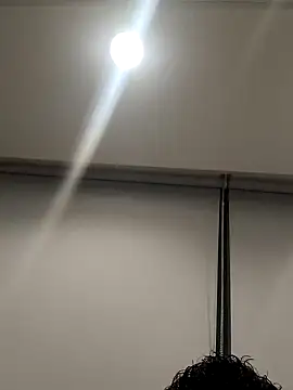 Snapshot of erickcpk1 chatting on 12-24-24, 03:49 erickcpk1 online show from 12-24-24, 03:49