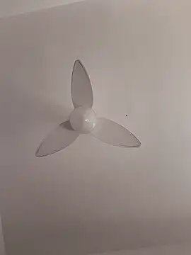 Snapshot of erickcpk1 chatting on 09-30-25, 12:43 erickcpk1 online show from 09-30-25, 12:43