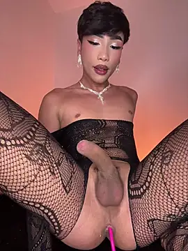 sue   0 online show from 07-14-26, 02:05