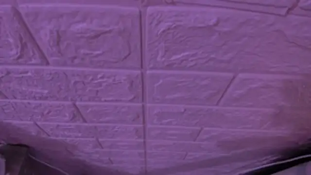 gabyye capprins online show from 11-15-25, 11:54