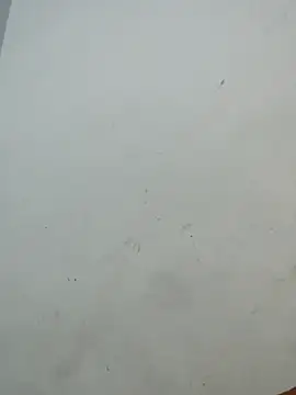 Snapshot of Sania-Love chatting on 12-02-25, 11:11 Sania-Love online show from 12-02-25, 11:11