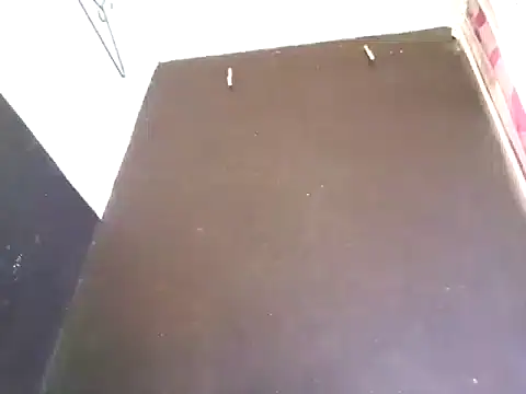 Loggan donnelly online show from 10-29-25, 08:32