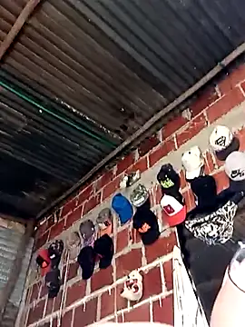 tayson  online show from 01-29-25, 09:28